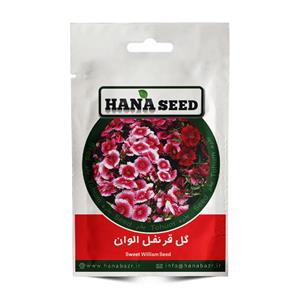 بذر گل قرنفل 500 عددی