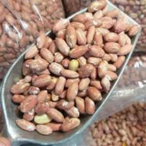 بادام زمینی  درشت 2 کیلویی 1401