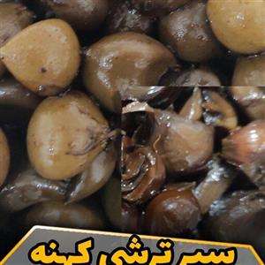 سیر ترشی کهنه با سرکه خانگی