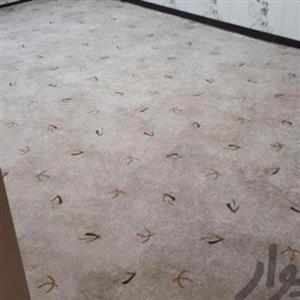 موکت هراز ظریف مصور