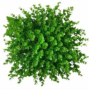 تایل دیوار سبز مصنوعی گرین وال طرح شمشادی بسته 16 عددی