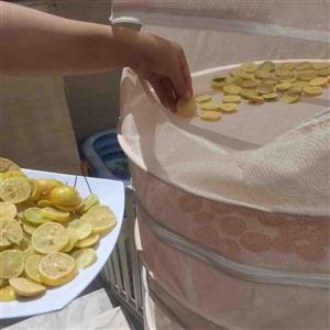 توری خشک کن میوه و سبزیجات