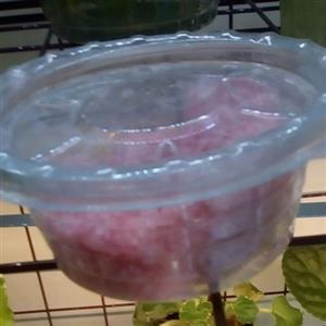 کود مخصوص رشد و گلدهی سه بیستبا قابلیت حل شوندگی بسیار عالی water soluble