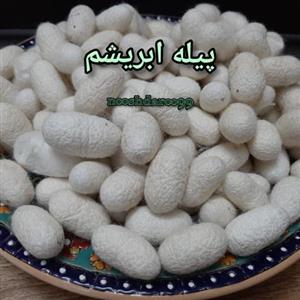 پیله ابریشم 10 گرمی