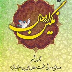 نگین اردهال