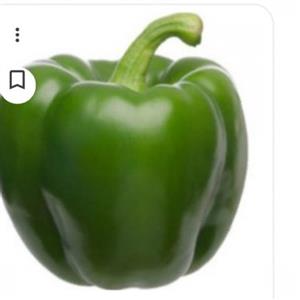 فلفل دلمه ای