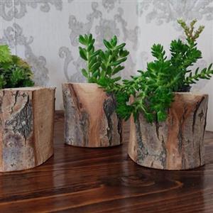 گلدونای خاص