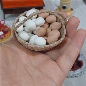 سبدتخم مرغ
