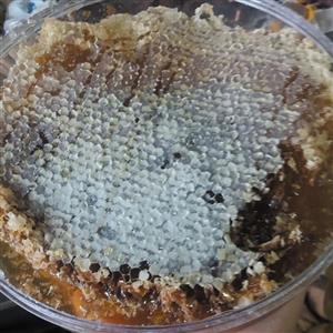عسل موم دار خوب یک کیلو گرم