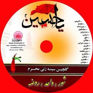 گلچین سینه زنی محرم-شور/واحد/روضه 