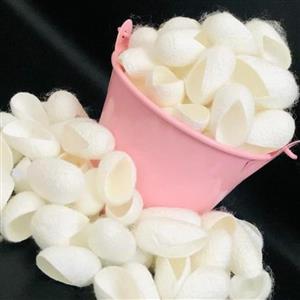 پیله ابریشم 30 تایی