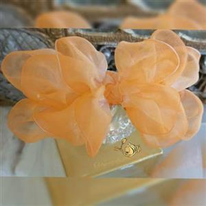 گیره فرانسوی سایز متوسط