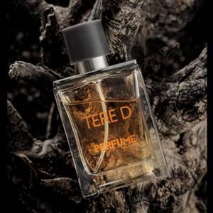 عطر جیبی مردانه ایکس اند ال پرفیوم فکتوری مدل تق هرمس  TERED حجم 30 میل