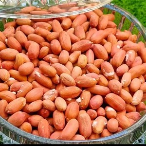 ترشی بادمجون شکم پر