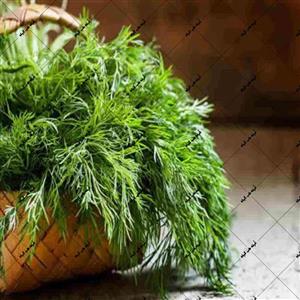 تخم شوید یا بذر شوید 100 گرمی درجه1