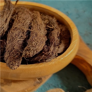 سنبل الطیب (75 گرم)