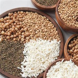 گندمک _ شاهدانه _ برنجک نات لاین(130گرمی) \