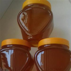 عسل گون کوهستان