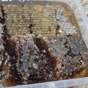 عسل طبیعی 1401 از محلات صومعه سرا کاملا طبیعی بدون هیچگونه شکر اضافه و کاملا جنگلی و طبیعی برداشت امسال