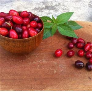 زغال اخته فریز شدهٔ طارم درشت و درجه یک ( یک کیلوگرمی )