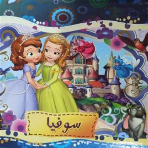 کتاب کودک سه بعدی سوفیا جلد سخت22در29
