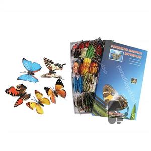 مگنت پروانه ای