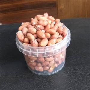 بادام زمینی  برداشت 1401