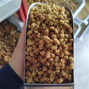 توت خشک ریز طبیعی امسالی1401(200گرمی) توت ریز