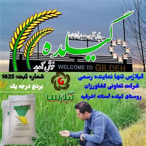 برنج  هاشمی آستانه اشرفیه (روستای گیلده)