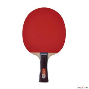 راکت پینگ پنگ دی اچ اس مدل 1002 DHS 1002 Ping Pong Racket