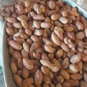 بادام ریز ممتازآستانه اشرفیه 1401
