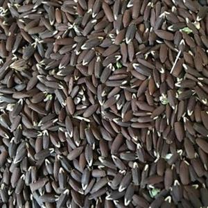 تخم کتان سیاه برزک ممتاز فدک (250گرم)