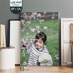 چاپ عکس روی تخته شاسی 13 در 18 با کیفیت لابراتوری به تعداد یک عدد