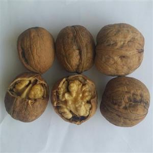 گردو تازه امسالی پوست کنده 1401 درجه 1( تولید کننده ایم یا با کمترین واسطه)