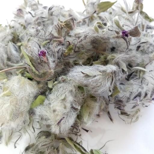 چای کوهی فله ای