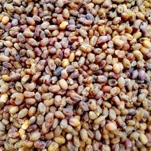 خرمای خشک اعلایک کیلویی