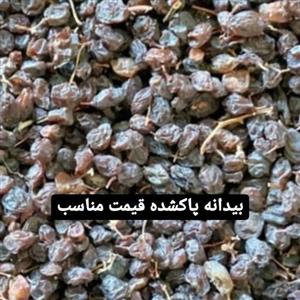 کشمش افتابی تاکستان ارگانیک و پکتین دار