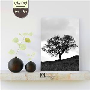 چاپ عکس روی تخته شاسی 40 در  60 با کیفیت لابراتوری به تعداد یک عدد