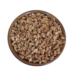 توت خشک 100 گرم گیلانار