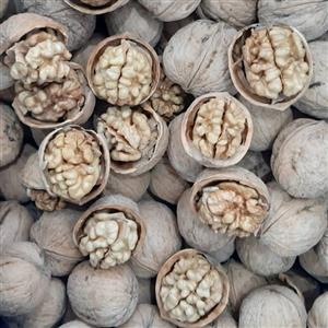 گردوی پوست کاغذی