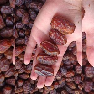 خرما هلیله خشک درشت درجه یک