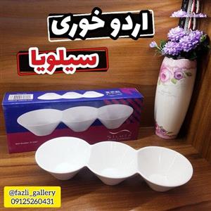 اردو خوری سیلویا ( اردوخوری _ اردو خوری سرامیکی _ اردو خوری سفید _ اردوخوری خارجی ) 