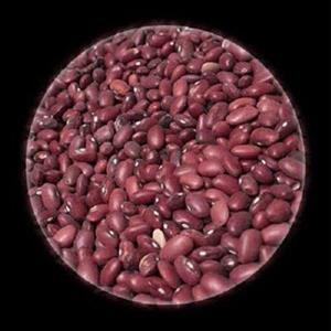 لوبیا قرمز محلی همدان زود پز کیفیت عالی