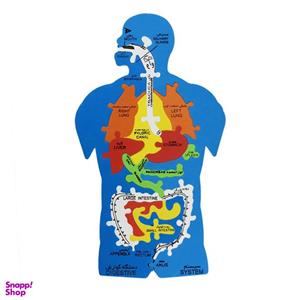پازل آموزشی بدن انسان  برند سایان