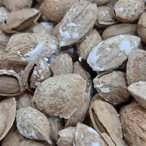 بادام کاغذی خارجی ، یک کیلو