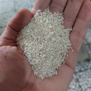 نیمدانه طارم هاشمی  اعلا