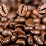 قهوه چری اعلا 1000گرمی () Rima coffee « ریما عمده فروش قهوه و ماگ»