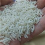 برنج طارم محلی آستانه ممتاز  امساله10 کیلویی(تضمین کیفیت )