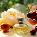 عطر ویکند 10 گرمی