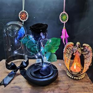 گل رز جاودان مشکی با ریسه مهتابی